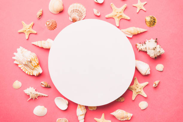 istock Summer time concept with blank greeting card and blank white paper on colored background. Seashells from ocean shore in the shape of frame separated with space for text top view 1498361103