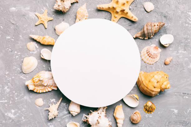 istock Summer time concept with blank greeting card and blank white paper on colored background. Seashells from ocean shore in the shape of frame separated with space for text top view 1498361113