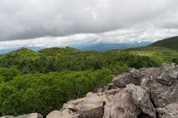 istock North Yatsugatake in summer 1498363298
