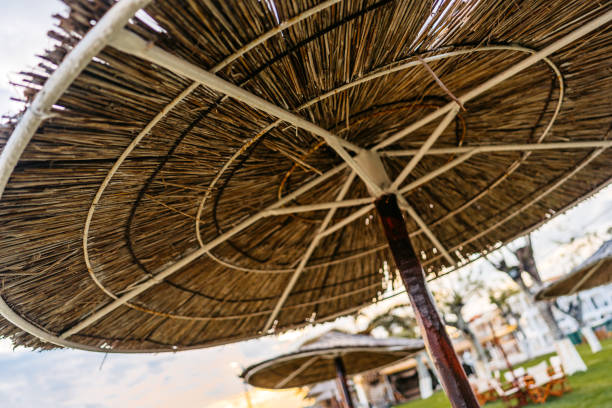 Beach umbrella in a beach bar in Nea Flogita, Greece.