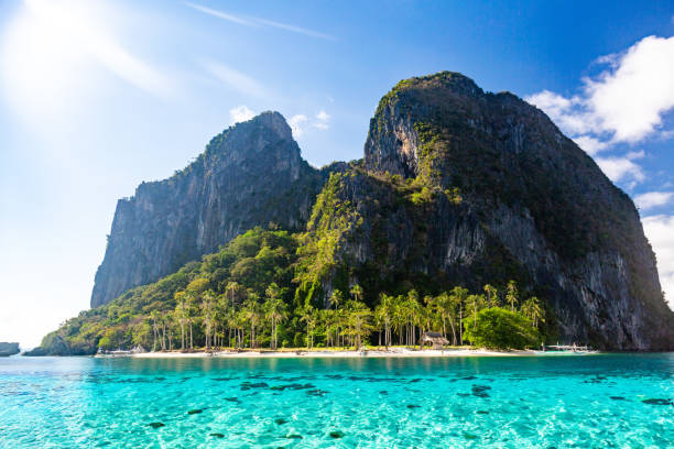 Serene Sunset View of Island with Crystal Clear Sea, Coral Reef, and Beach with Palm Trees in El Nido, Philippines. Serene scene in El Nido, Philippines, during a sunset. The main focus of the image is an island adorned with palm trees. The island features a white sandy beach, and the surrounding sea is crystal clear, allowing the visibility of a coral reef underwater. The setting sun casts a warm glow on the beach and the palm trees, adding to the tranquil ambiance of the scene. This image showcases the natural elements found in El Nido, including the island, crystal clear sea, coral reef, sandy beach, and palm trees, inviting viewers to appreciate the beauty of this coastal landscape during sunset. el nido photos stock pictures, royalty-free photos & images