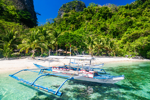 El Nido, Philippines, a traditional Filipino boat takes center stage against a backdrop of a pristine white sandy beach. The solitary boat rests in the lagoon, while the turquoise sea gently laps at the shoreline. Lush palm trees adorn the beach, adding a tropical touch to the scene. The clear, cloudless sky overhead provides ample natural light, further enhancing the tranquil beauty of this coastal paradise.