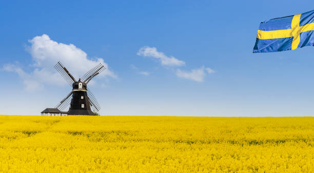 Windmill in Sweden with Swedish flag in front of rape field