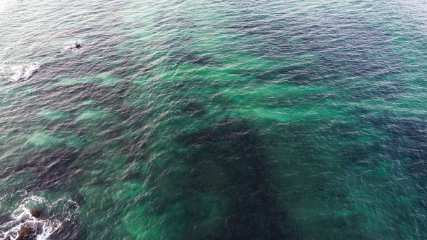 istock Reef in blue greenish waters 1498367340