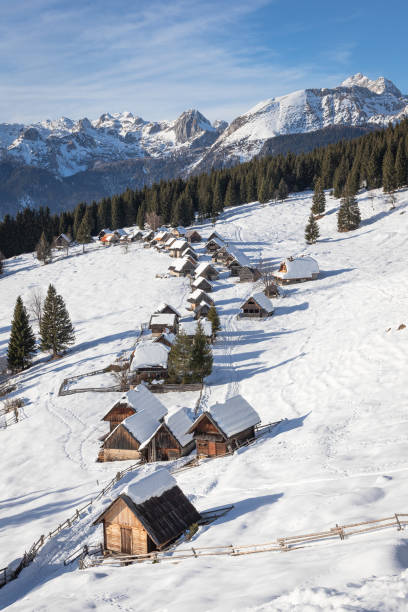 istock Plateau Planina Zajamniki, Slovenia 1498370988