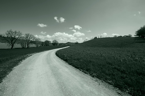Winding dirt road between Tuscany spring fields in black and white