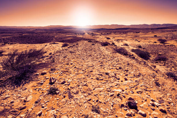 istock Rock formations in the Israel desert 1498375839