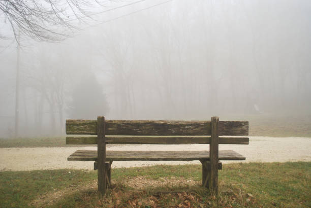 banc dans la nature avec brouillard - nobody tranquil scene nature park photos et images de collection