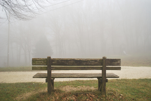 Wooden bench in nature with fog view from behind