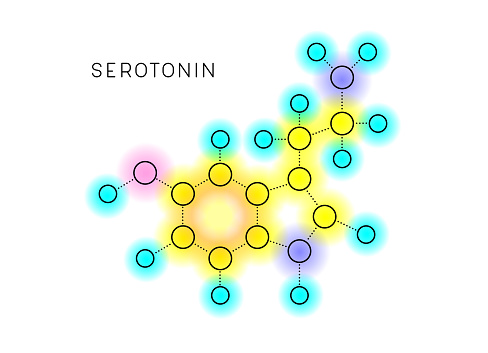 Neurotransmitter serotonin molecular structure in thin line on vibrant colors. Editable vector on layers.
