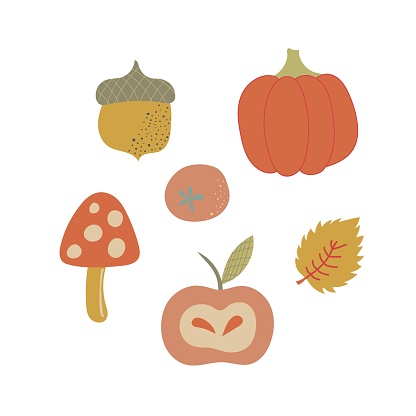 Autumn elements. Leaves, acorns, twigs nuts fruits autumn Vector