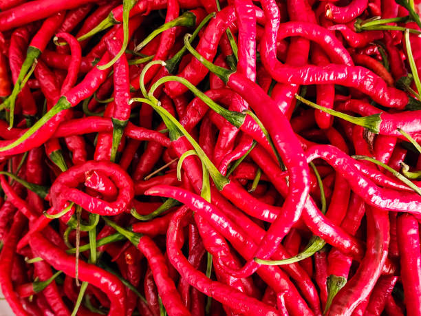 istock Red Chile, Curly Red Chili 1498377805
