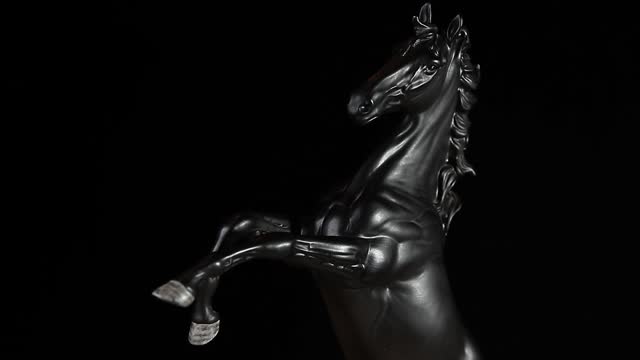 footage of blur horse statue