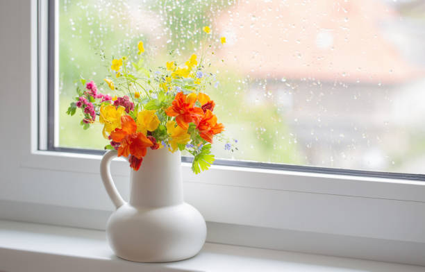 istock summer flowers in white jug on windowsill 1498380655