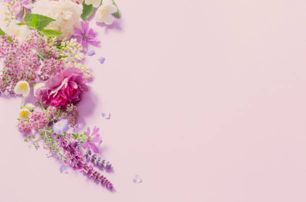 istock beautiful summer flowers on light purple background 1498380693