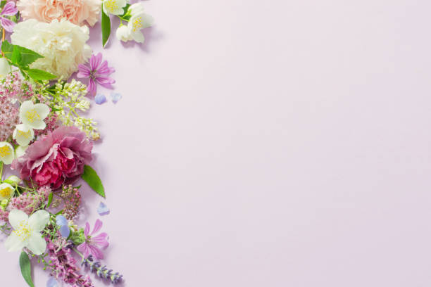 istock beautiful summer flowers on light purple background 1498380698