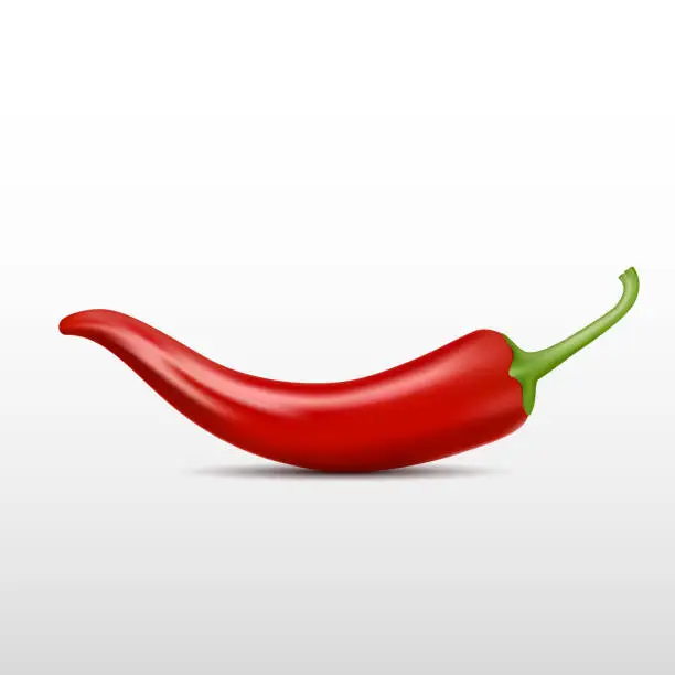 Vector illustration of Realistic Chili Pepper, Vector Illustration on Isolated White Background