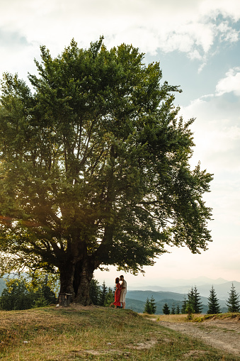 a couple stands and looks at each other on a bench by a big old beech tree with a view of the carpathians mountains