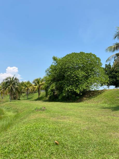istock Taman Tasik Milenium in Malaysia 1498381752