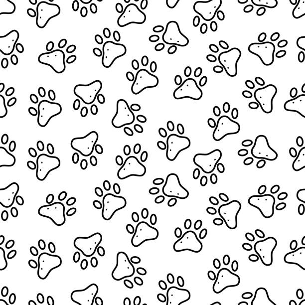 동물은 원활한 패턴을 추적합니다. 개 또는 고양이 발 지문 배경, 만화 벽지. - paw print animal track dirt track stock illustrations