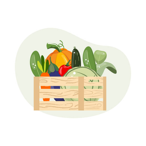 나무 상자에 유기농 농장 야채입니다. - zucchini vegetable food crate stock illustrations