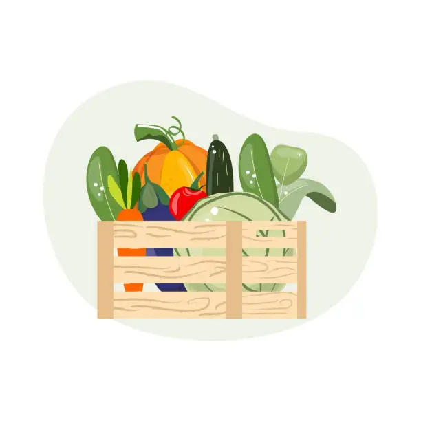 Vector illustration of Organic farm vegetables in a wooden box.