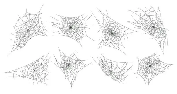 Vector illustration of Spider web. Halloween spooky cobweb, horror halloween decor flat vector illustration set. Scary halloween spider cobwebs