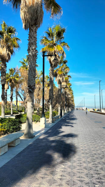 istock Malvarosa beach in Valencia 1498388657