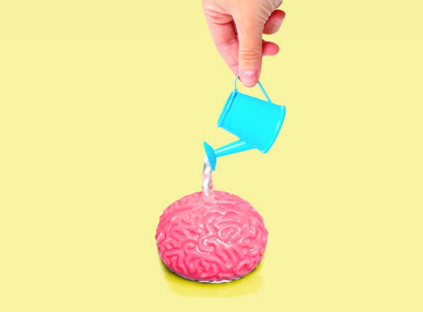 istock Toy Watering Can Pours Water over the Human Brain Model 1498394460