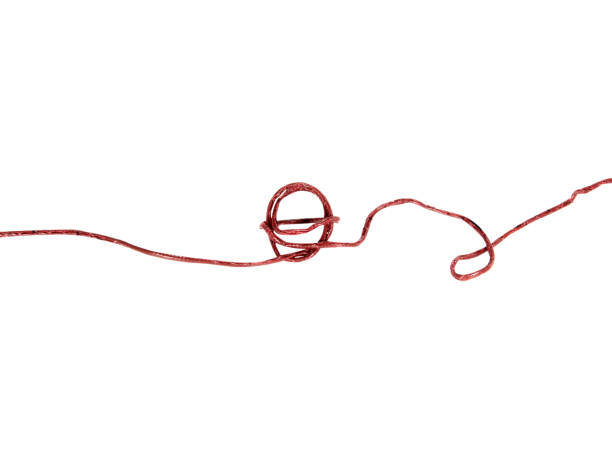 istock Brown leather rope with knot isolated on white background with clipping path. 1498395267