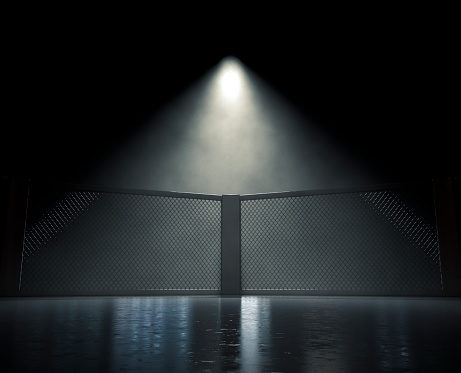 A dimly spotlit section of a mma octagon ring surrounded by wire mesh on a dark isolated background - 3D render