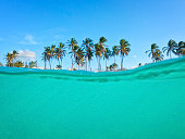 Half underwater of turquoise sea water and green palm trees with blue sky on the background at the beach on the tropical Island. Amazing summer vacations