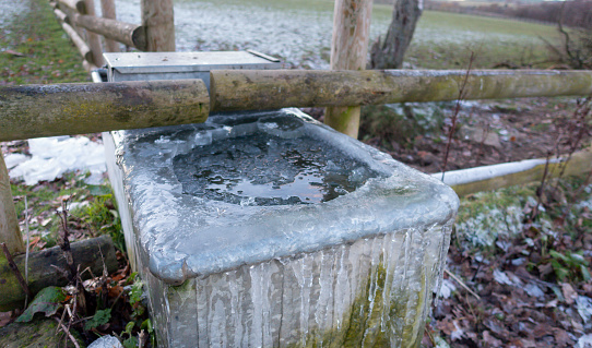 Animal drinking trough in field on cold winters day, with an ice hole broken in middle to allow animals to get to the water for a drink.