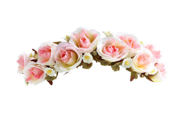 白い背景にピンクのバラの花冠正面図とクリッピングパス