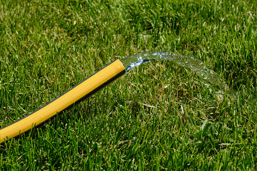 Yellow garden hose with flowing water on green grass. Shallow depth of field
