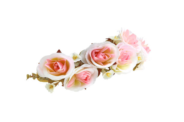 istock Pink Roses Flower Crown Side View isolated on white background with clipping paths 1498401929
