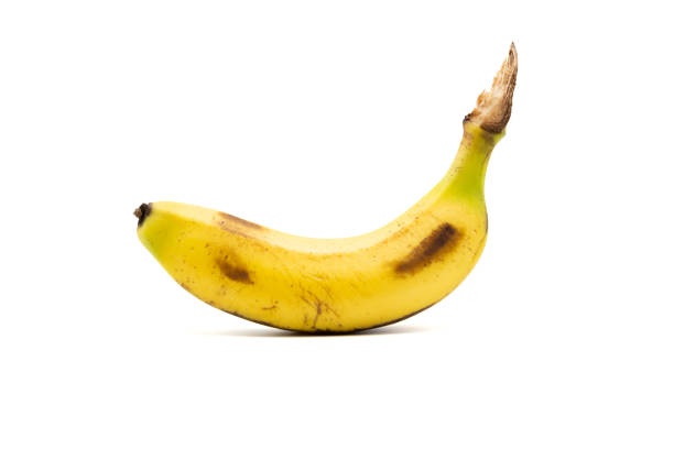 istock Single banana isolated on white background 1498403848