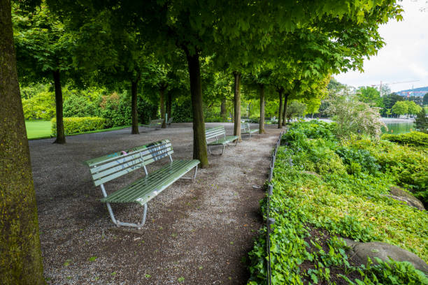 istock Empty benches in public park. Green vegetation, no people 1498404232