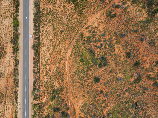 istock Road in a rural desert landscape 1498405168