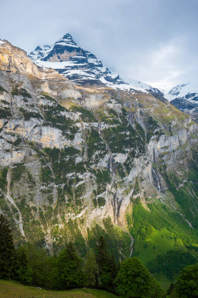 beautiful view of schwarzmonch mountain peak and green valley in the swiss alps. sunny summer day, no people - eiger jungfrau monk panoramic imagens e fotografias de stock