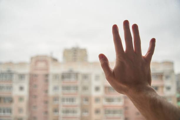 istock Young man on self-isolation. Stay home. Hand on the window. 1498411348