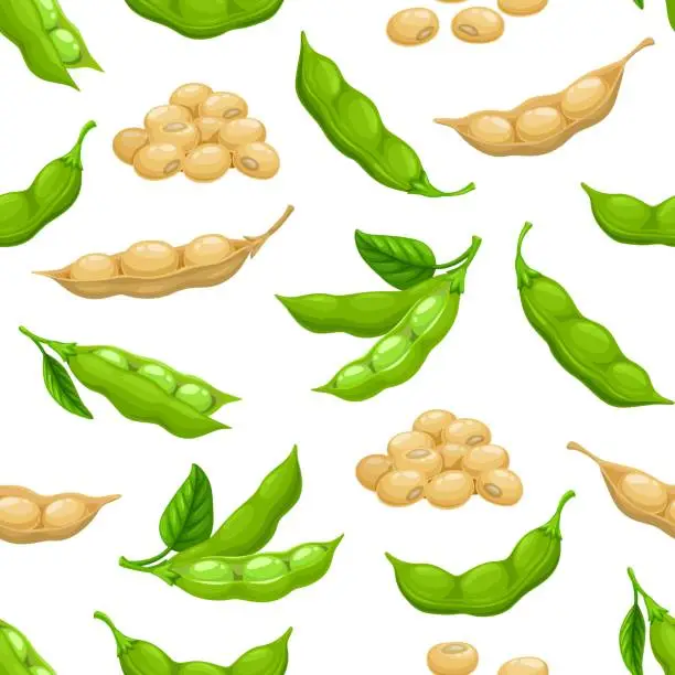 Vector illustration of Raw soy and soybeans pods seamless pattern