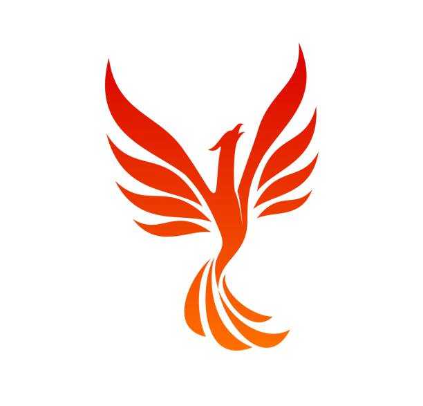 птица феникс икона жар-птицы, летящей на огненных крыльях - phoenix fire tattoo bird stock illustrations