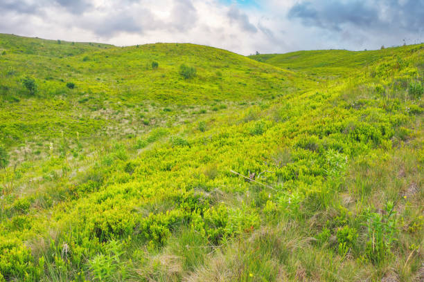 istock countryside scenery with meadow in mountains 1498416381