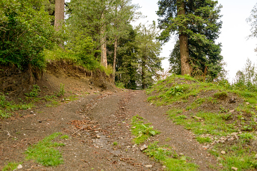 A Pathway into the Mountains in Nathia Gali, Abbottabad, Pakistan.