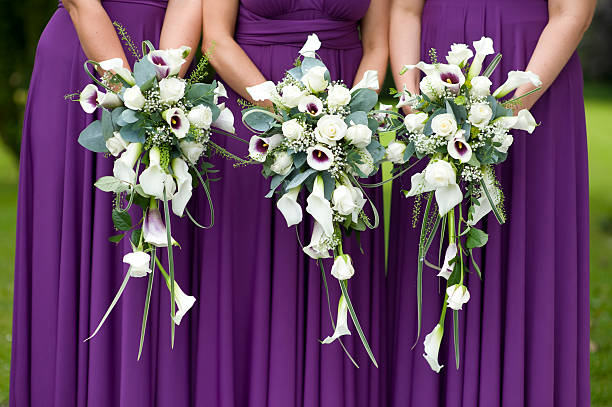 Vestidos De Dama De Honor De Color Lila - Banco de fotos e imágenes de stock - iStock Vestidos De Dama De Honor De Color Lila - Banco de fotos e imágenes de stock - iStock