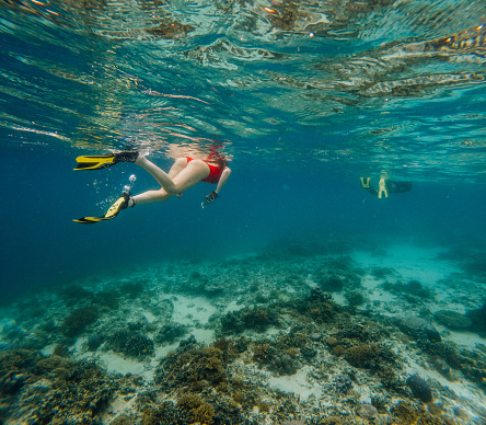 Underwater rear view shot of a unrecognisable woman snorkelling in the Gili Islands in Indonesia.