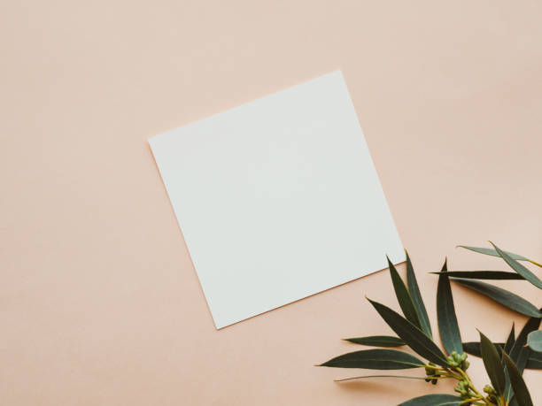 istock White blank paper square card mockup and green eucalyptus branch on beige background 1498420457