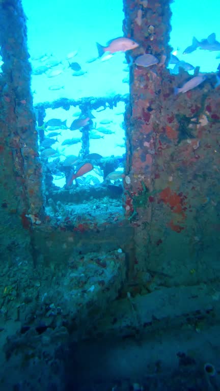 Vertical footage of rusty Fforecastle old rooms of the wreck ship underwater