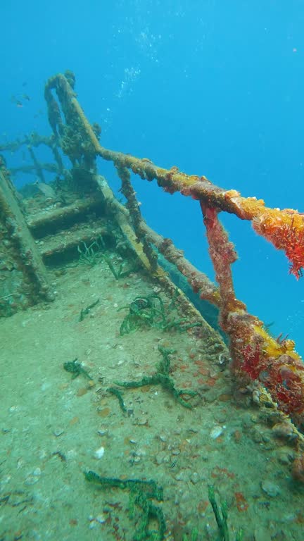 Vertical footage of rusty Fforecastle and rooms of the wreck ship underwater